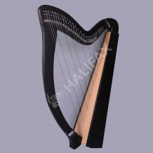 29 Strings Celtic Harp